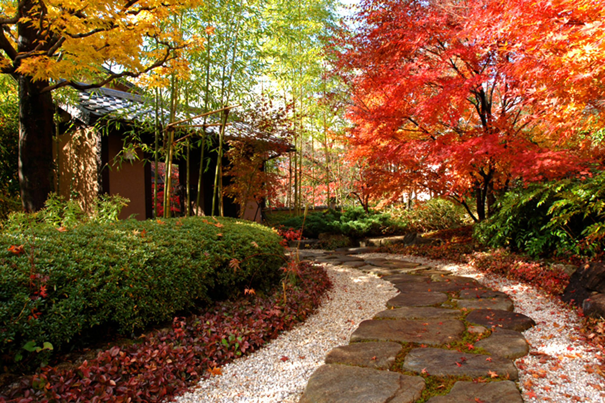 Hotel Miyako Gero Exterior foto